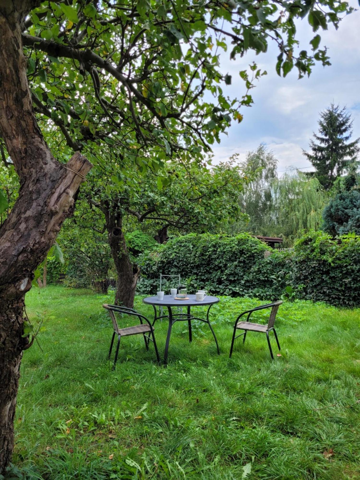 Apartment Na Barwinku Kielce
